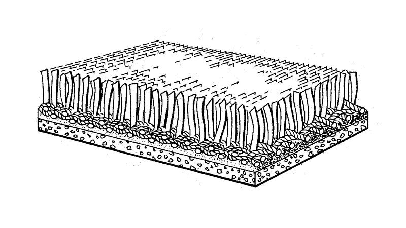 Illustration for article titled The Meticulous Engineering Behind Your Neighbor's Fake Lawn